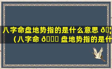 八字命盘地势指的是什么意思 🦋 （八字命 🐋 盘地势指的是什么意思啊）